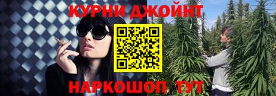 МДПВ Пушкино